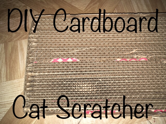 910CBFF4-3CA5-4202-9558-1AFB0BF2DC71